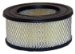 Wix 42112 Air Filter, Pack of 1 (42112)