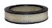 Wix 46042 Air Filter, Pack of 1 (46042)
