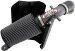 AEM 21-8315DC Brute Force With Dryflow Air Intakes (218315DC, 21-8315DC, A18218315DC)