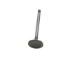 Absolute Excellence W0133-1635693 Intake Valve (AE1635693, W0133-1635693)