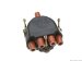 Bosch Distributor Cap (W0133-1616647_BOS, W0133-1616647-BOS)