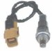 Bosch 13746 Oxygen Sensor, OE Type Fitment (BS13746, 13746)