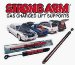 StrongArm 4449  Plymouth Sundance w/Spoiler Hatch Lift Support 1987-94, Pack of 1 (4449)