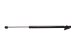 StrongArm 4291  Jeep Cherokee Liftgate Lift Support 1997-01, Pack of 1 (4291)