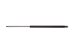 StrongArm 4327  Toyota Supra Hatch Lift Support 1986-92, Pack of 1 (4327)