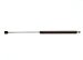 StrongArm 4308  Audi Quattro Hatch Lift Support 1983-85, Pack of 1 (4308)