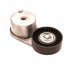 Goodyear 49258 Tensioner and Idler Pulley (49258)