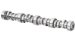 Crane 1449561 Z-Series Hydraulic Roller Tappet Camshaft (1449561)