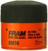 Fram HM16 High Mileage Oil Filter (Pack of 2) (HM16, F24HM16, FFHM16)