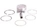 Beck Arnley  012-5357  Piston Assembly Standard, Pack of 4 (0125357, 125357, 012-5357)