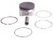 Beck Arnley  012-5314  Piston Assembly Standard, Pack of 4 (125314, 0125314, 012-5314)