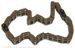 Beck Arnley  024-1258  Timing Chain (241258, 024-1258, 0241258)