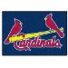Fanmats 6506 MLB St. Louis Cardinals Starter Mat (6506, FAN6506)