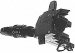 Standard Motor Products Headlight Switch (DS666, DS-666)