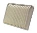 Wix 49223 AIR FILTER, PACK OF 2 (49223)