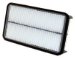 Wix 46244 Air Filter Panel for select  Ford/Mercury models, Pack of 1 (46244)