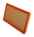 Wix 49145 AIR FILTER, PACK OF 2 (49145)