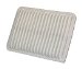 Wix 49155 AIR FILTER, PACK OF 2 (49155)