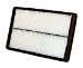 Wix 49066 AIR FILTER, PACK OF 2 (49066)