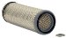 Wix 42342 Air Filter, Pack of 1 (42342)