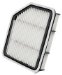 Wix 49147 AIR FILTER, PACK OF 2 (49147)