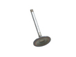 Absolute Excellence W0133-1631678 AE1631678 Intake Valve (AE1631678, W0133-1631678)