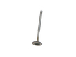 Absolute Excellence AE1627668 W0133-1627668 Intake Valve (W0133-1627668, AE1627668)