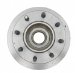 Raybestos 8005R Professional Grade Disc Brake Rotor and Hub (8005R)