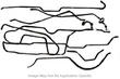Omix-Ada 16737.43 Stainless Steel Brake Line Set; Jeep CJ7 without Quad. (P & DS (1673743, O321673743)
