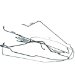 Omix-Ada 16737.33 Stainless Steel Brake Line Set for Jeep CJ5 (LP & DR) (1673733, O321673733)