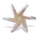 Flex-a-lite 2818 Gold Star Stainless Steel 18" Low Profile, Reverse Rotation Belt Fan (2818, F212818)