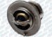 ACDelco 131-112 Thermostat (131-112, 131112, AC131112)
