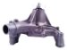 A1 Cardone 55-11113 Remanufactured Water Pump (55-11113, 5511113, A425511113, A15511113)