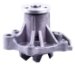 A1 Cardone 55-53117 Remanufactured Water Pump (5553117, A15553117, 55-53117)