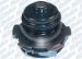 ACDelco 252-731 Water Pump (252731, 252-731, AC252731)