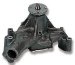 Weiand 8251 Action Plus Cast Iron Long Mechanical Water Pump (8251, W208251)