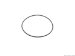 Ishino Wheel Bearing O-Ring (W01331642450ISH)
