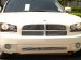 T-Rex | 25474 | 2005 - 2006 | Dodge Charger | Bumper Billet Insert - (4 Bars) (25474, T8625474)