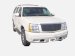2002-2006 Cadillac Escalade Billet Aluminum Grille Insert Requires Cutting Of Stock Grille Shell Install Time- Appr. 1-1.5 Hours Polished (41652, C9441652)