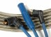 ACCEL 8006B Armor Shield Blue Braided Spark Plug Wire Set (8006B, A358006B)