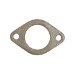 Exhaust Pipe Gasket (1745001, O321745001)
