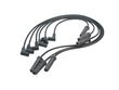 Delphi W0133-1683292 Ignition Wire Set (W0133-1683292, DEL1683292, F1020-229495)