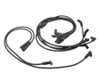 Delphi W0133-1621229 Ignition Wire Set (DEL1621229, W0133-1621229, F1020-177251)