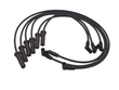 Delphi W0133-1624055 Ignition Wire Set (W0133-1624055, F1020-177298)