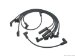 Delphi Spark Plug Wire Set (W0133-1623012_DEL)