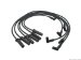 Delphi Spark Plug Wire Set (W0133-1624184_DEL)