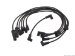 Delphi Spark Plug Wire Set (W0133-1623883_DEL)