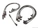 Delphi Spark Plug Wire Set (W0133-1622715_DEL)