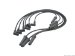 Delphi Spark Plug Wire Set (W0133-1683292_DEL)