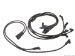 Delphi Spark Plug Wire Set (W0133-1621229_DEL)